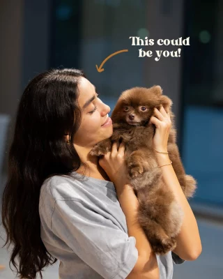 What’s really stopping you from booking that session? 

Tag your bestie and come collect puppy smiles with us.

Link’s in our bio, no excuses now. 😉

#yoppypuppyyoga #yogadubai #yogaabudhabi #dubaiyoga #abudhabiactivities #dubaiactivities #thingstodoindubai #thingstodoinabudhabi