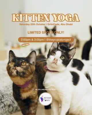 Mark your calendars, Yoppy Kitten Yoga is back this October in Abu Dhabi! 🐾

Take a deep breath, stretch, and share the mat with the sweetest rescue kittens from @manycatsclub. Part of the proceedings are donated to the rescue center to support the kittens with medical & food bills.

📍 GritnCode, Abu Dhabi
🗓️ Saturday, 25th Oct
⏰ 2:00pm & 3:00pm

#yoppypuppyyoga #yogaabudhabi #abudhabiactivities #thingstodoinabudhabi
