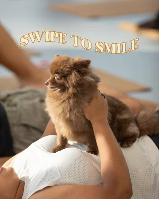 Pause your scroll for a dose of cuteness.

Send this to someone who could use a serotonin boost today!

#yoppypuppyyoga #yogadubai #yogaabudhabi #dubaiyoga #abudhabiactivities #dubaiactivities #thingstodoindubai #thingstodoinabudhabi