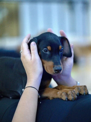 You’d be staring too, this little puppy is stealing the show!

Swipe till the end for the reveal.

#yoppypuppyyoga #yogadubai #yogaabudhabi #dubaiyoga #abudhabiactivities #dubaiactivities #thingstodoindubai #thingstodoinabudhabi