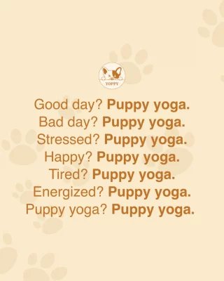 It’s never too late to receive a gift for Christmas, right? 🎁

And guess what? Yoppy is giving away 2 FREE TICKETS to our Sunday, January 18th session!

We’ll be selecting winners randomly, so here’s how to enter:

1. Follow us @yoppy_puppyyoga
2. Like this post 
3. Tag your favourite person to flow with (each tag = one entry!)
4. Share this post to your story and tag us for bonus entries! 

Winners will be announced on Thursday, 15 January.

Ready to flow with the fluff? GOOD LUCK! 🐾

#puppyyoga #yoga #dubai #fyp